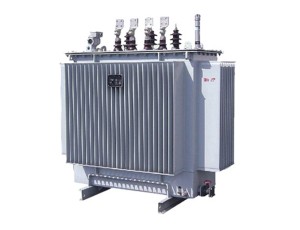 S9\S11\S13 Sıvı Dolu Transformatörler